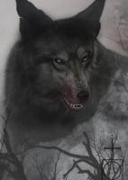 Lobo