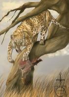 Leopardo